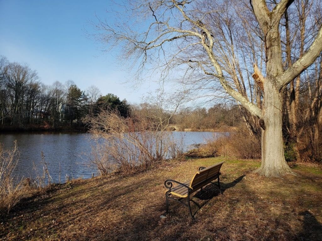 Strawbridge Lake Park 3